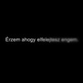 /album/kepek-meg-/erzem-ahogy-elfelejtesz-engem-jpg/